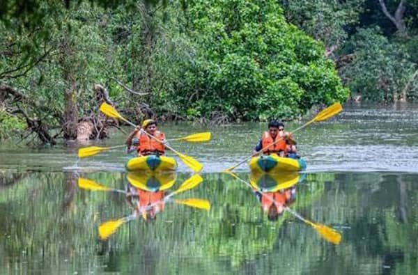 बस्तर के धुड़मारास गांव ने देश और दुनिया में बनाई अनोखी पहचान