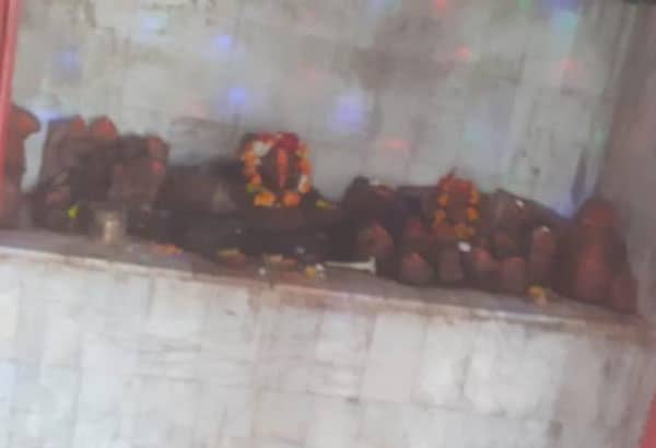 बोर्रा में रईया देवी मंदिर पर 29 को लगेगा मेला, दुर्गेश पाण्डेय की होगी नौटंकी